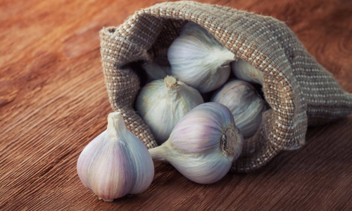 Вкусно и полезно: почему не надо выкидывать высохший чеснок