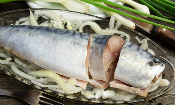 Как засолить скумбрию в пакете. Такой вкусной вы еще не эли